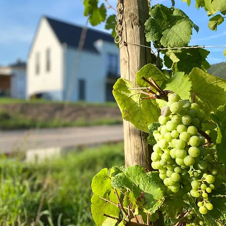 Haus Im Weinberg Hébergement de vacances