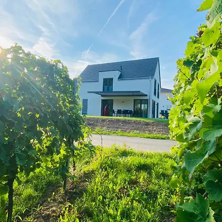 度假居 Haus Im Weinberg 埃伦波特道夫