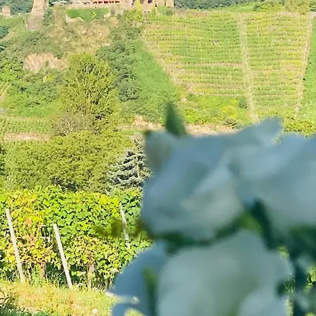 Haus Im Weinberg 엘렌츠폴터스도프