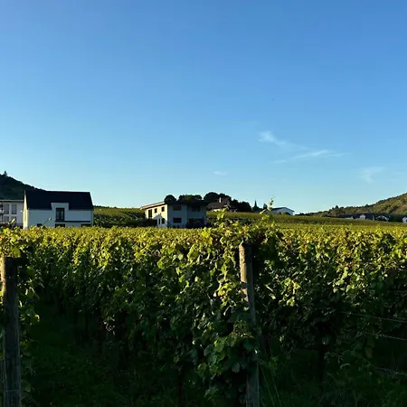 Haus Im Weinberg -klimatisierte Schlafraeume- Ellenz-Poltersdorf