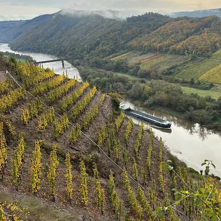 Haus Im Weinberg * 埃伦波特道夫