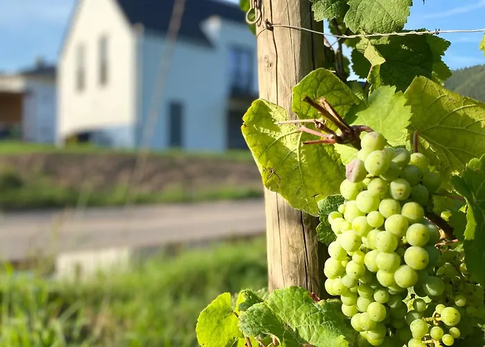 Haus Im Weinberg Dom wakacyjny