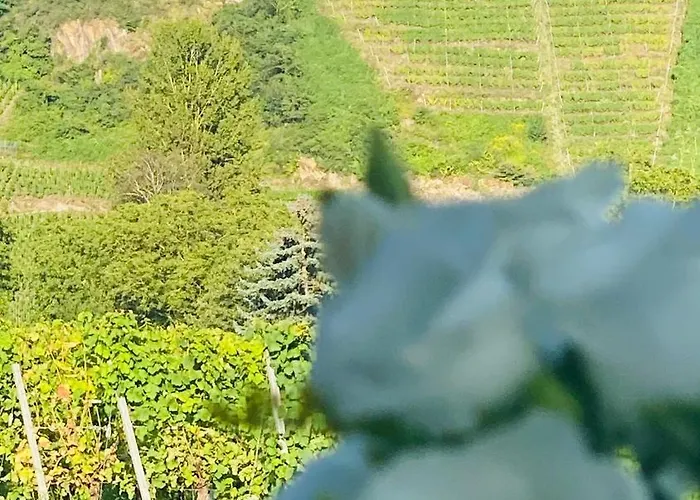 Haus Im Weinberg Ellenz-Poltersdorf