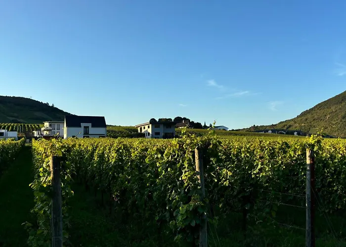 Haus Im Weinberg Ellenz-Poltersdorf